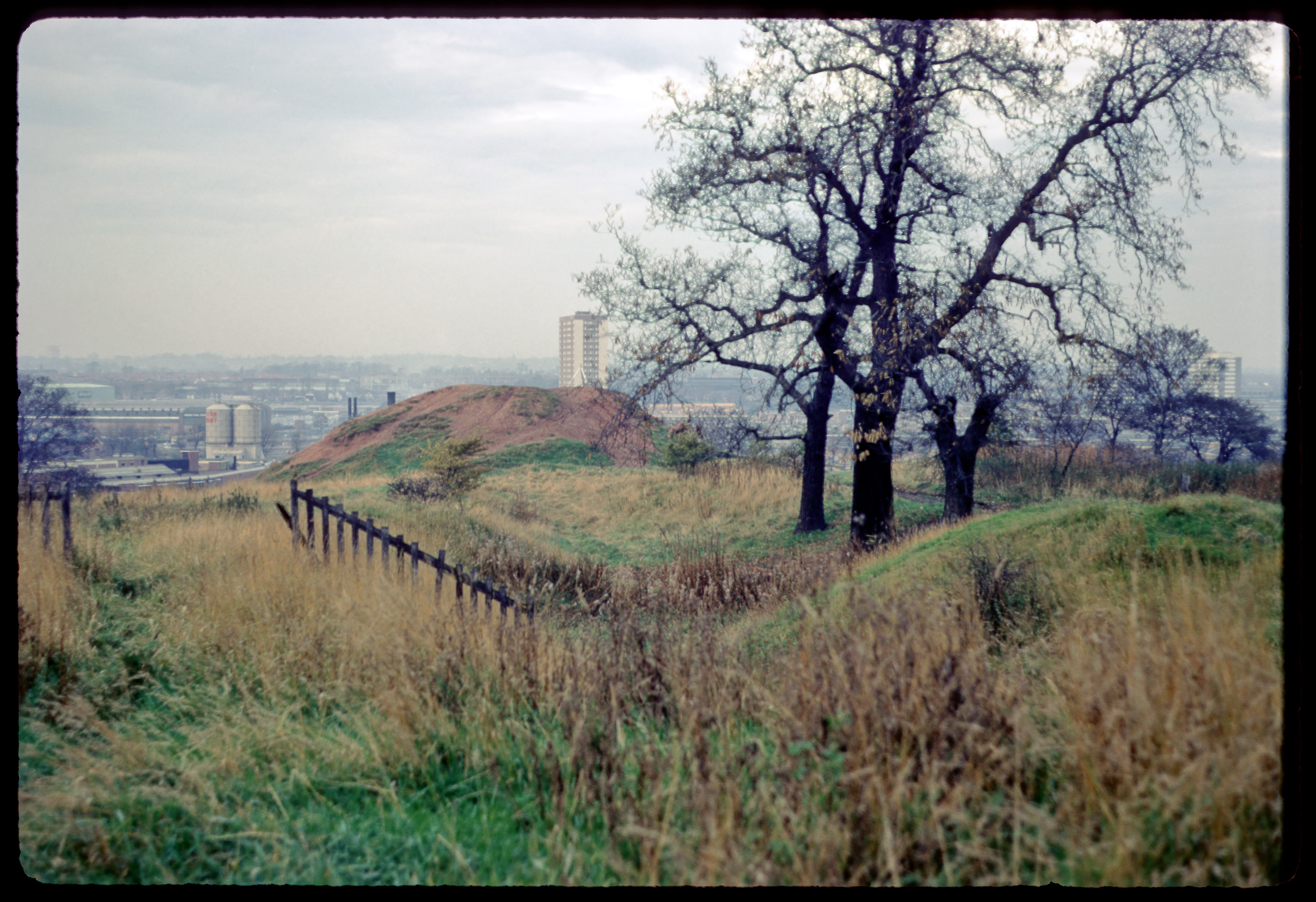 Castle, Castle Bromwich, Birmingham ePapers Repository