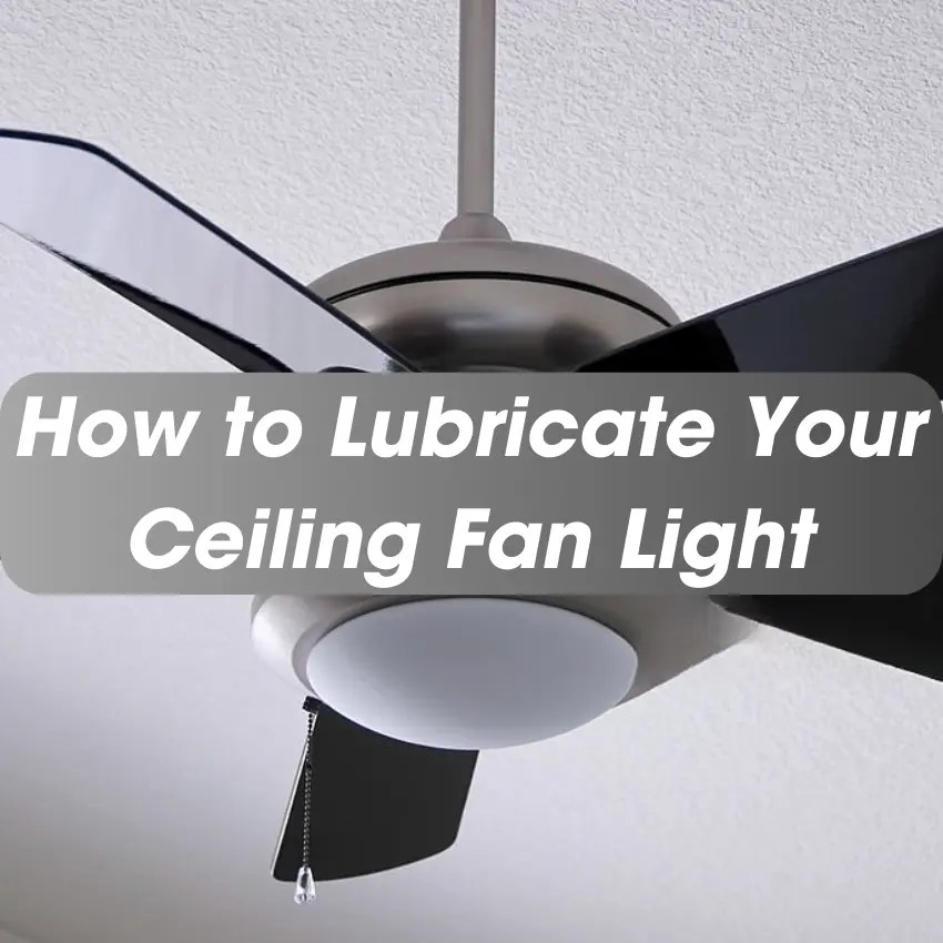 How to Lubricate Your Ceiling Fan Light Epazo Toi