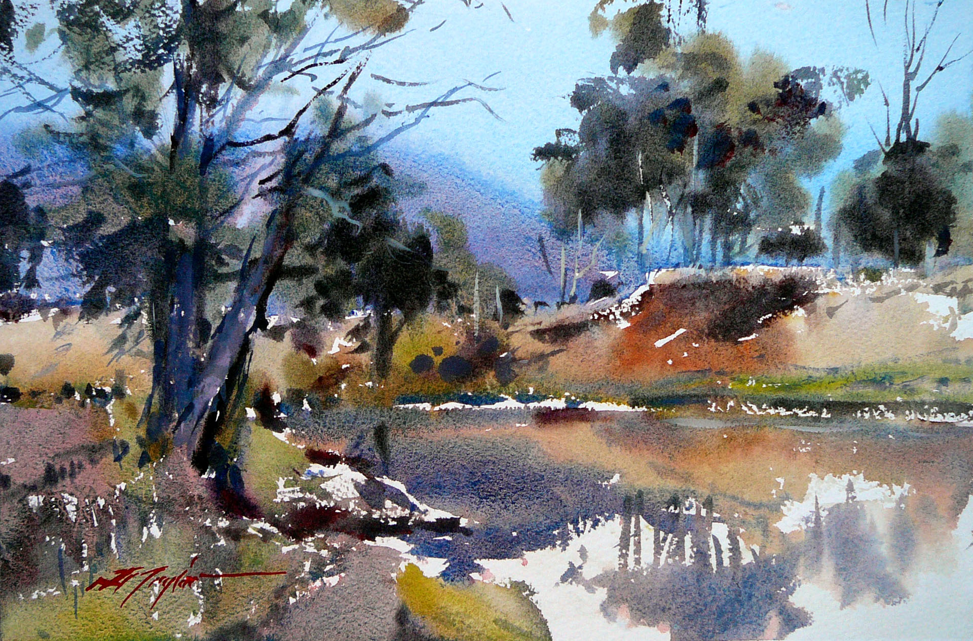 David Taylor EPC Art Courses tutor