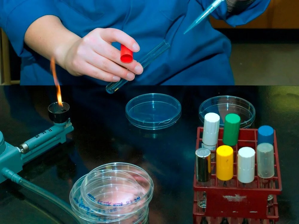 Microbiology East Point College of Medical Sciences