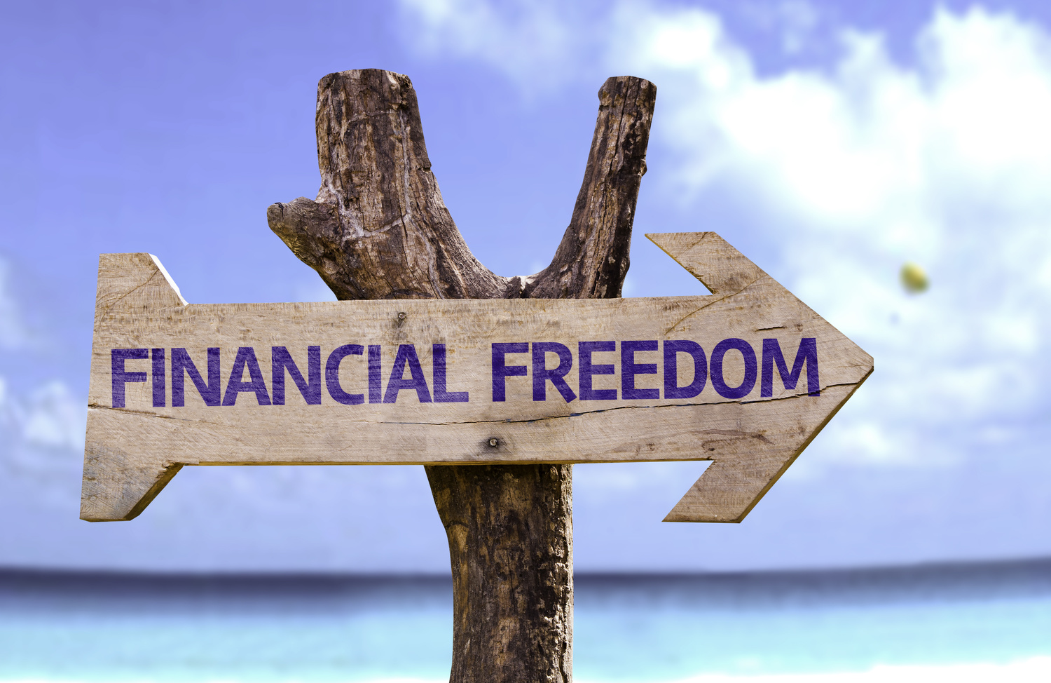The 17 Steps To Financial Freedom Through Property Investment EPGA
