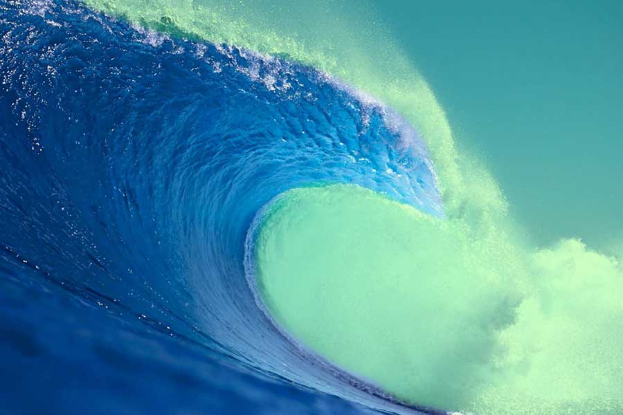 The ‘Blue Wave’ will be undone on April 23 unless you act now