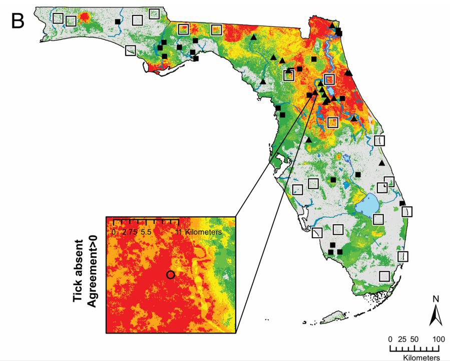 New maps predict where medically important ticks are found in Florida