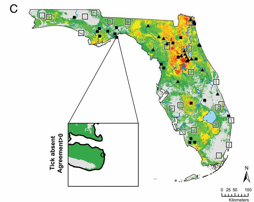 New maps predict where medically important ticks are found in Florida