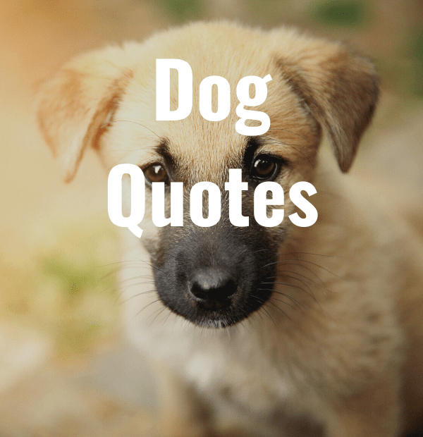 Printable Dog Quotes