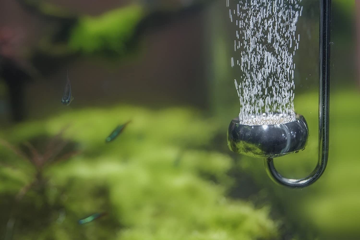Best CO2 Diffusers For Planted Aquariums of 2024