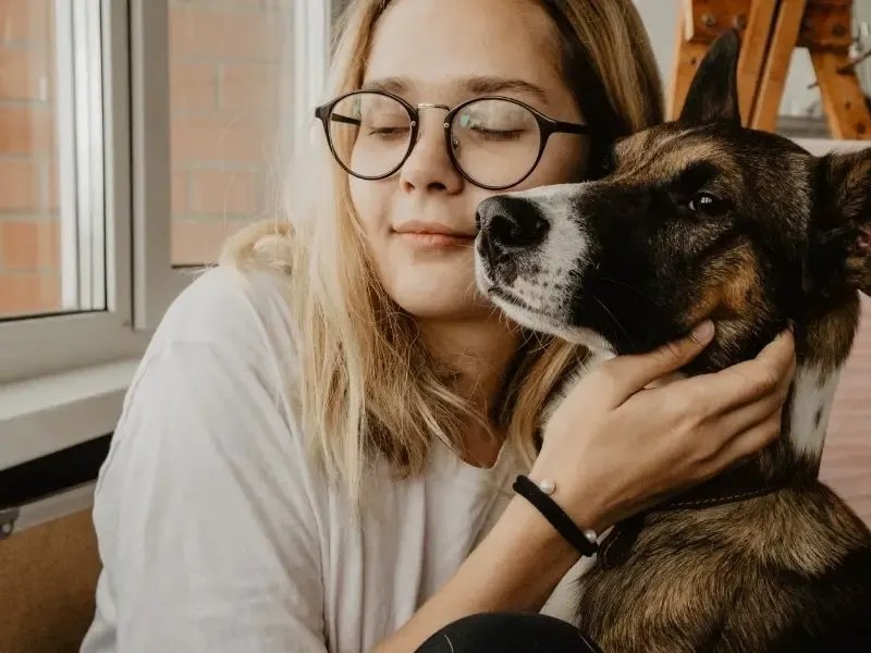 Dog Bucket List 50 Fun Things To Do With Your Dog