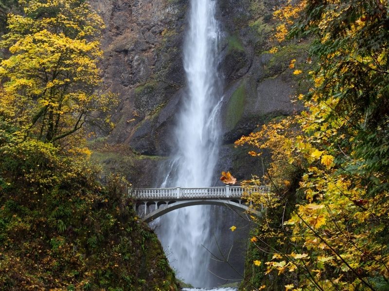 Oregon Bucket List Ideas 70 Amazing Things To Do In Oregon
