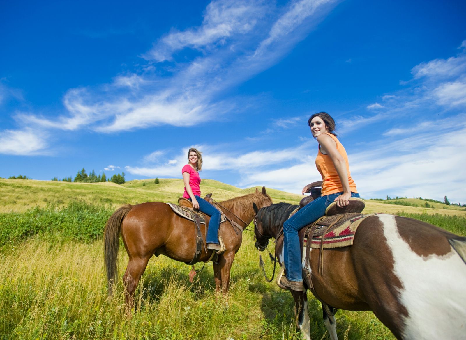 blog 19552 Global Gazette Journal