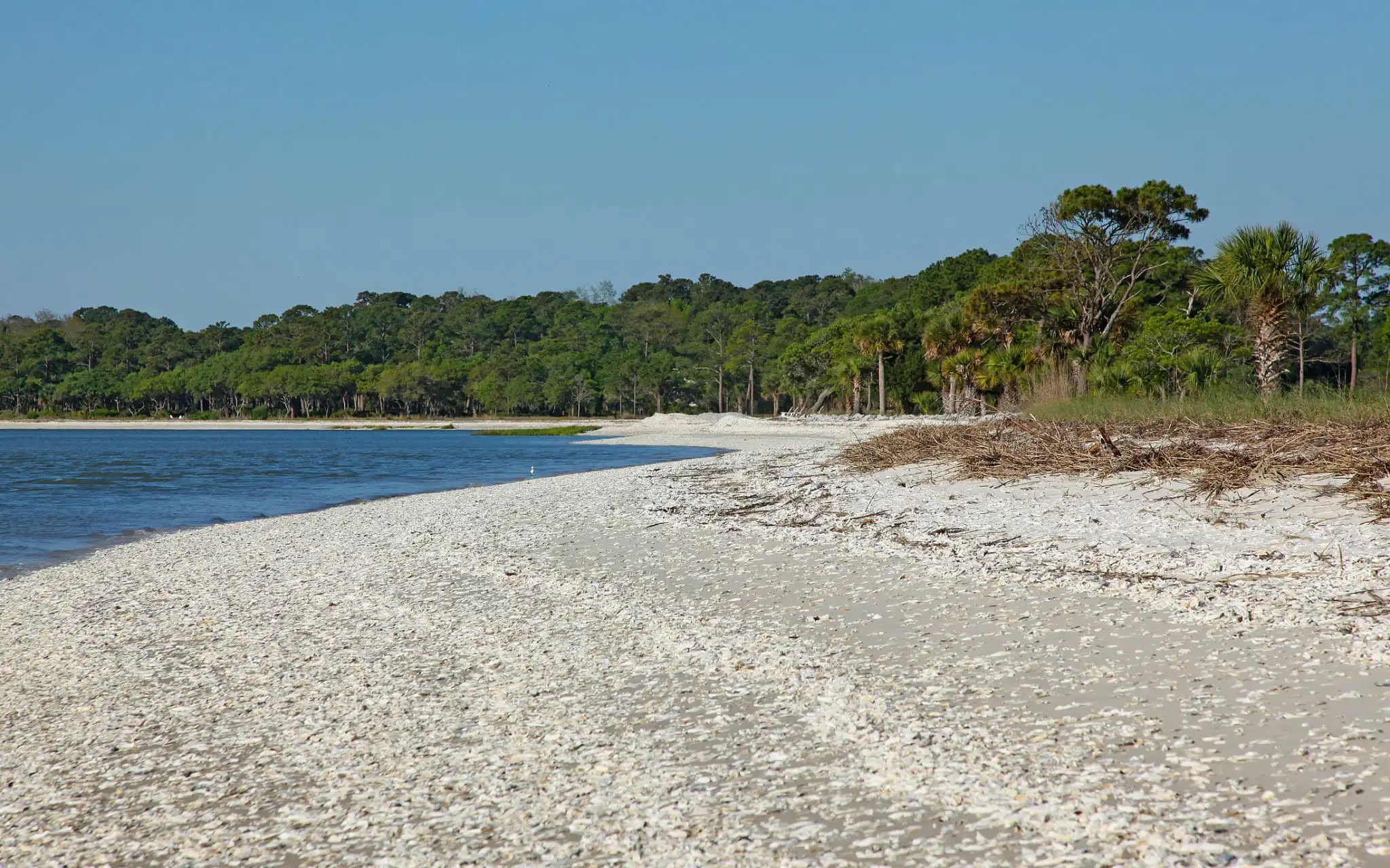 8 Amazing Things to Do on Daufuskie Island, South Carolina