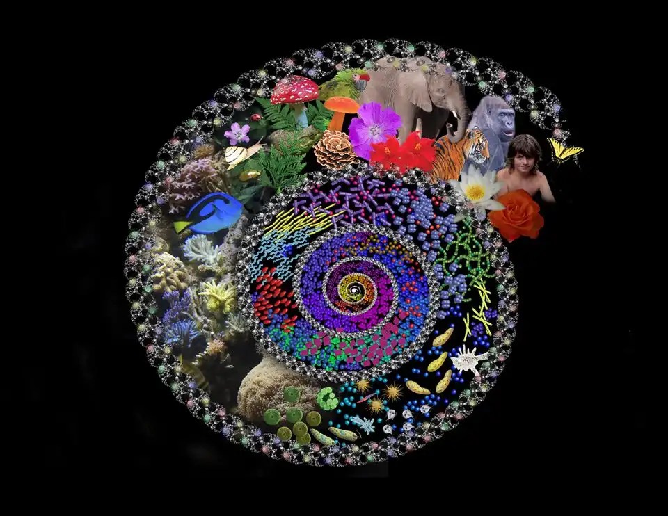 Spiral of Life EpicOfEvolution