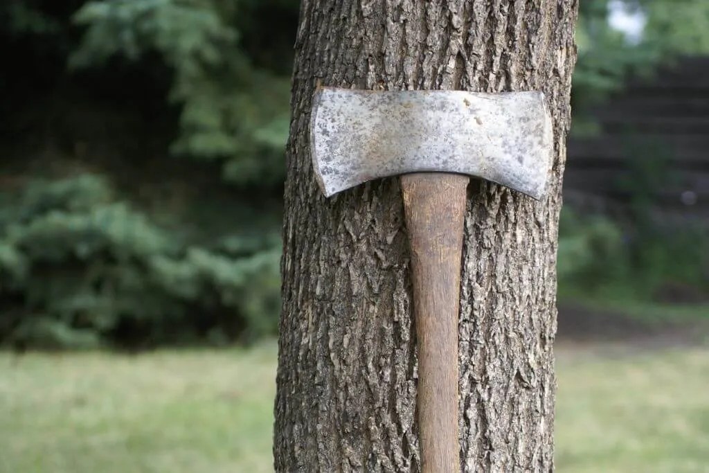 Best Double Bit Axes [in 2022] The Ultimate Guide & Reviews