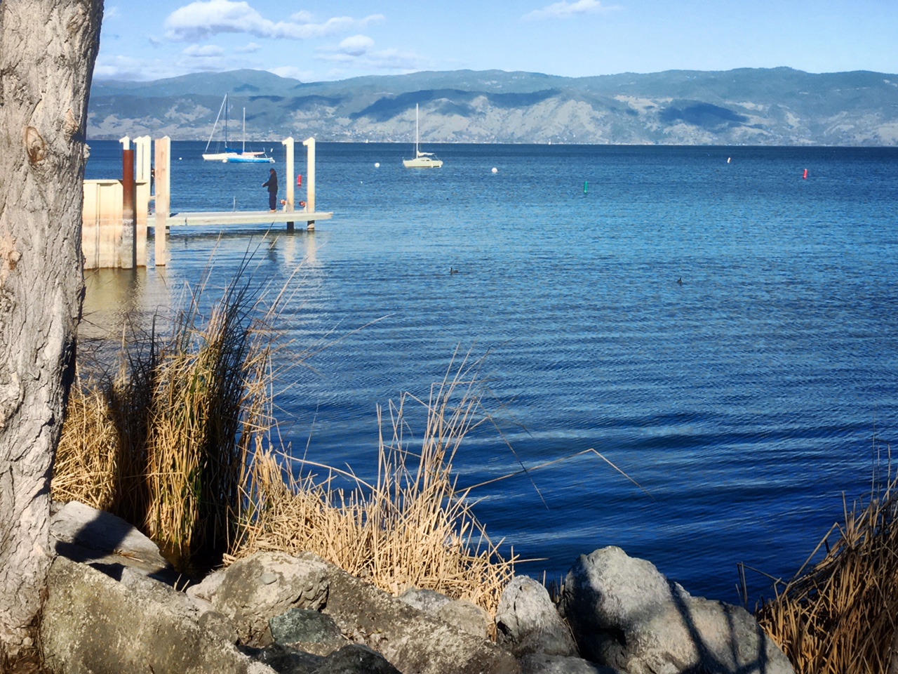 Lake County Northern California's Sweet Spot Epicurean Destinations