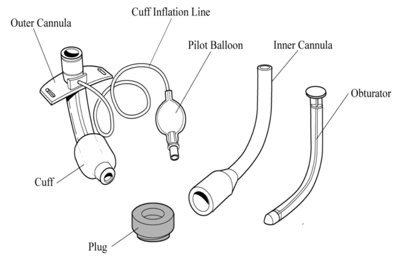 ️ Nursing diagnosis for tracheostomy. Nursing Care Plan and Diagnosis