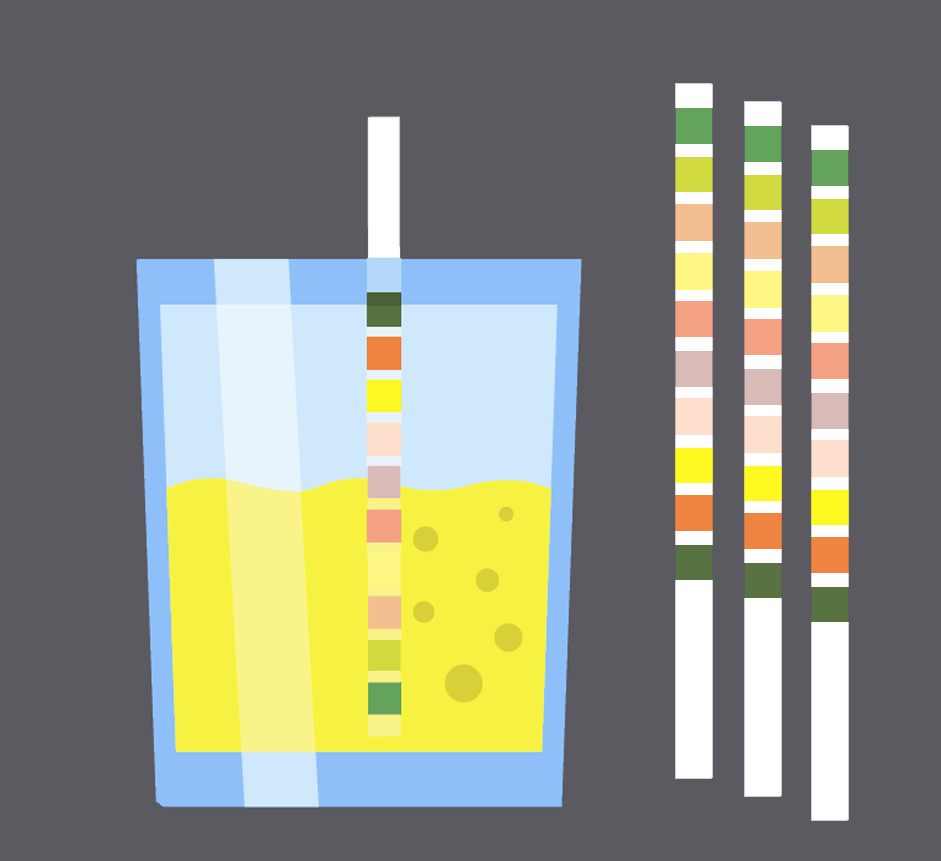Revisiting A Common Lab Test A Review Of Urinalysis And Urine Culture Images