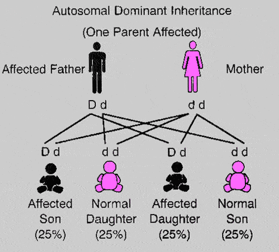 Mendelian Inheritance Basis of Epomedicine
