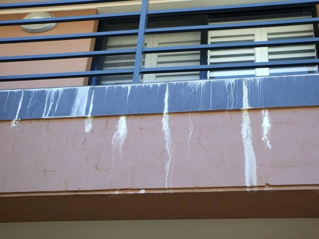 Shower & Balcony Repair Epoxy regrouting Gallery