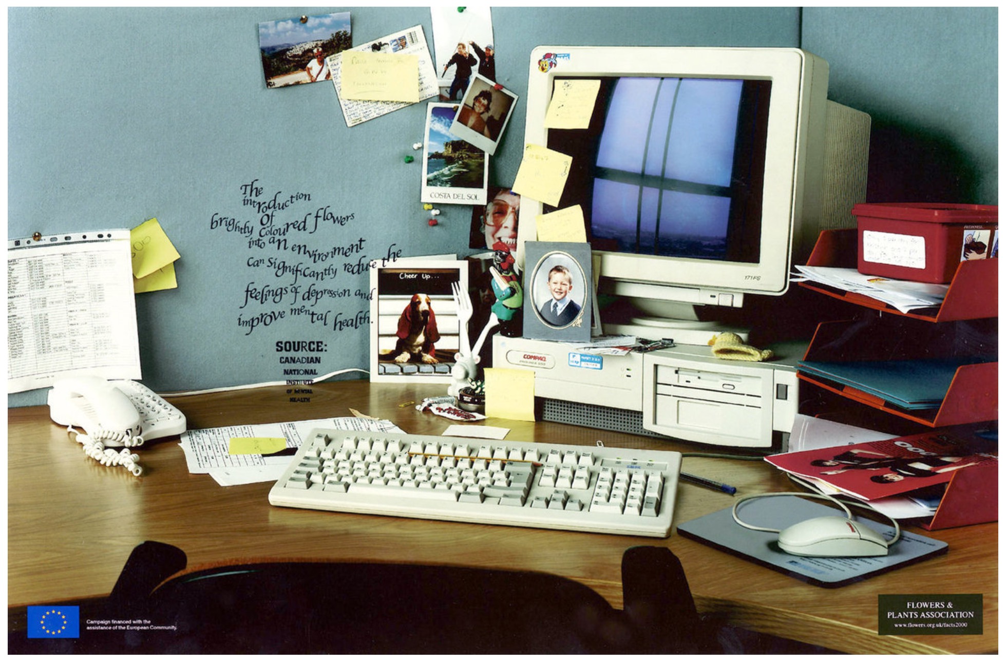 An above the line advertising campaign for the Flowers and Plants Association, in association