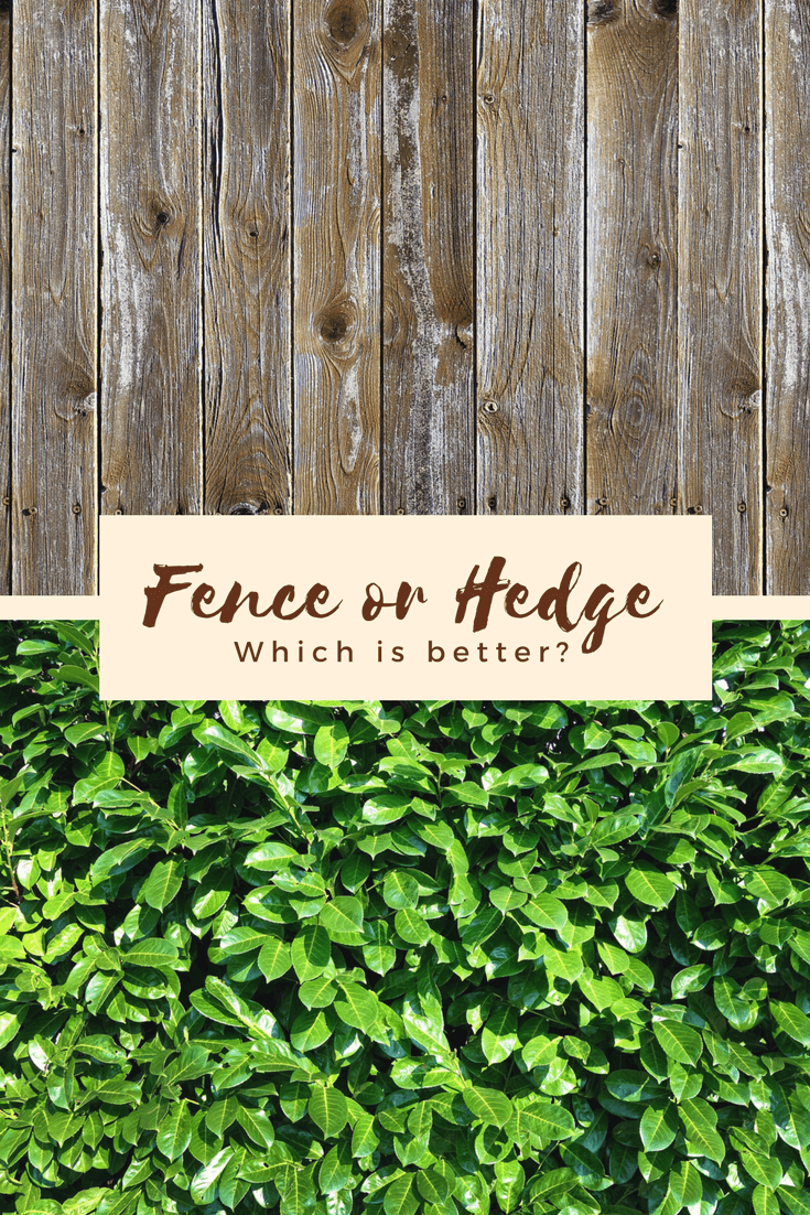 Fences or Hedges Which is Better? PrivacyLink