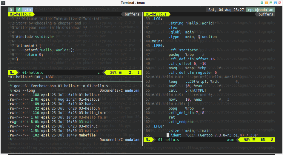 Linux Terminal Customization