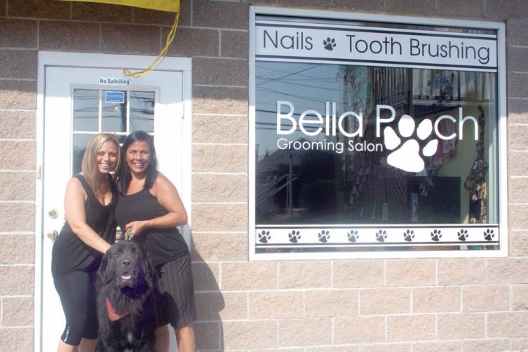 Dogs rule at Bella Pooch Salon Johnston Sun Rise