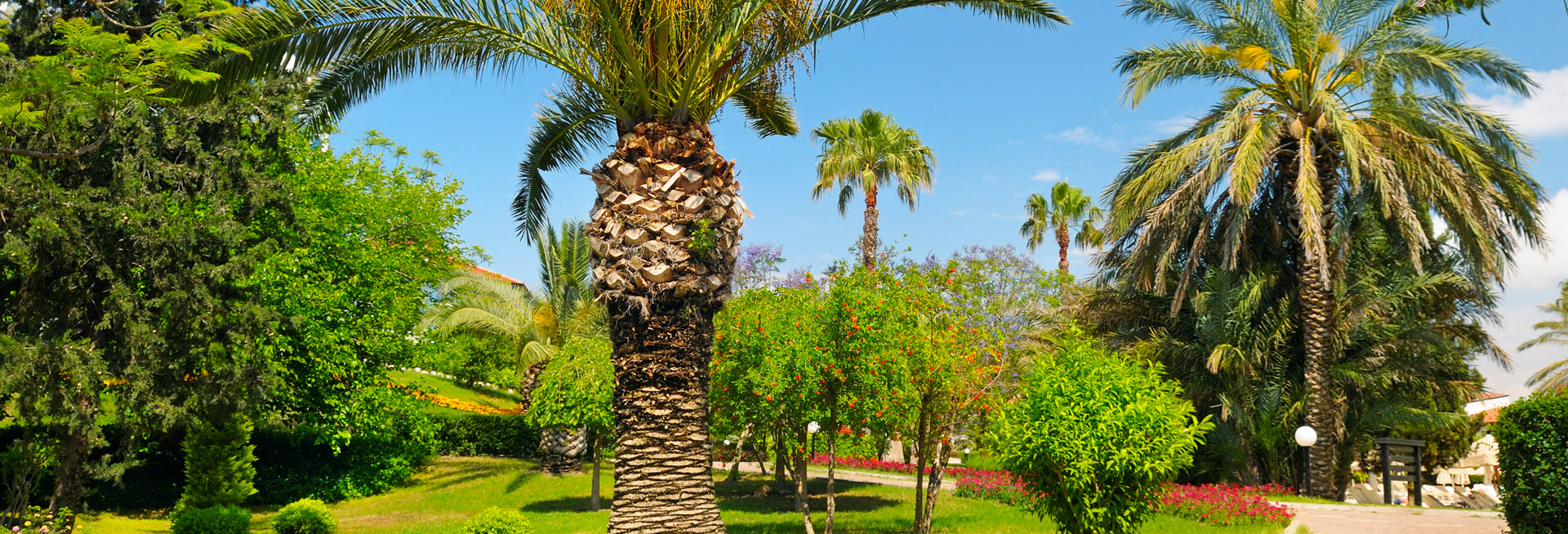 Landscaping, Lawn Care & Tree Services EPS Landscaping & Tree Service LLC