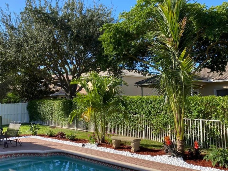 Pool Landscaping Pompano Beach, FL EPS Landscaping & Tree Service