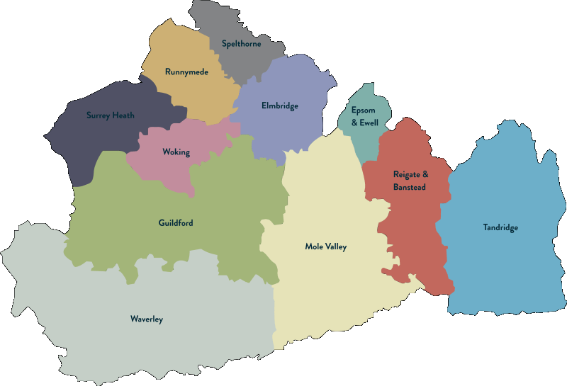 Can Epsom and Ewell get more dense?