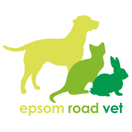 Epsom Road Vet Epsom Road Veterinary Clinic