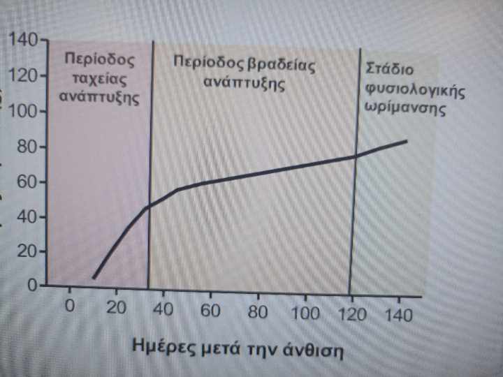 Πρώιμη κοπή ακτινιδίου ως κρίσιμος παράγοντας υποβάθμισης των ποιοτικών  χαρακτηριστικών του