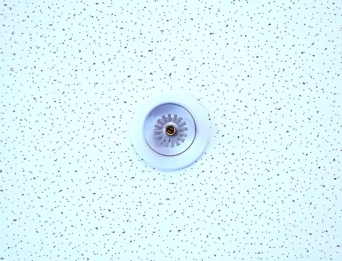 Home Trident Fire Protection