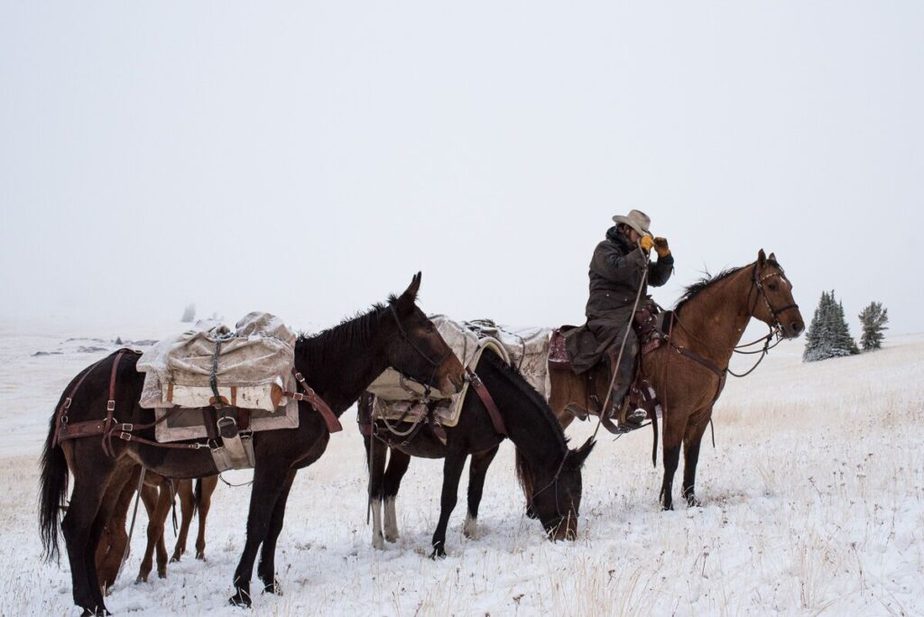 Heroes and Horses EQuine AMerica Magazine