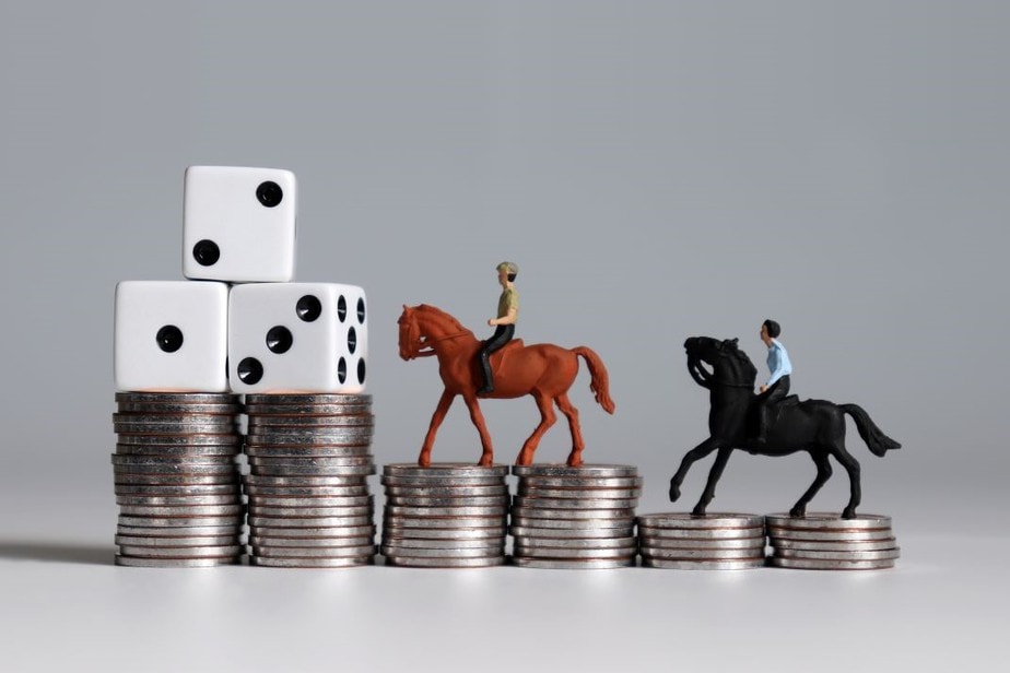 Investment Horses, Are They A Safe Bet? EQuine AMerica Magazine