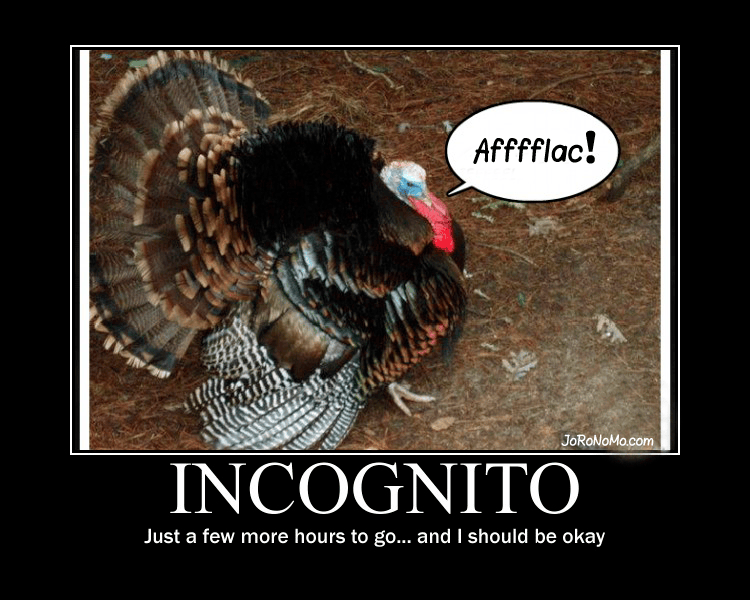 EQ2Wire » Happy Thanksgiving, and a Look Ahead to Next Week