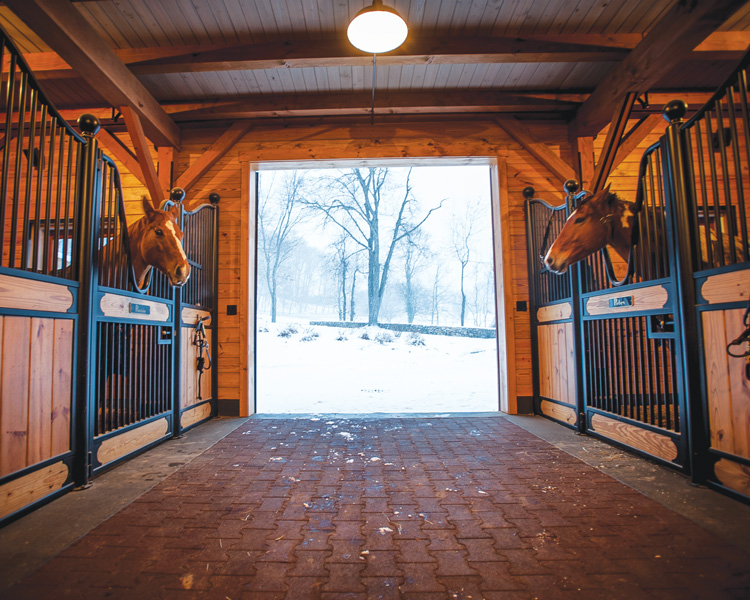 BERKLEY FARM Equestrian Living