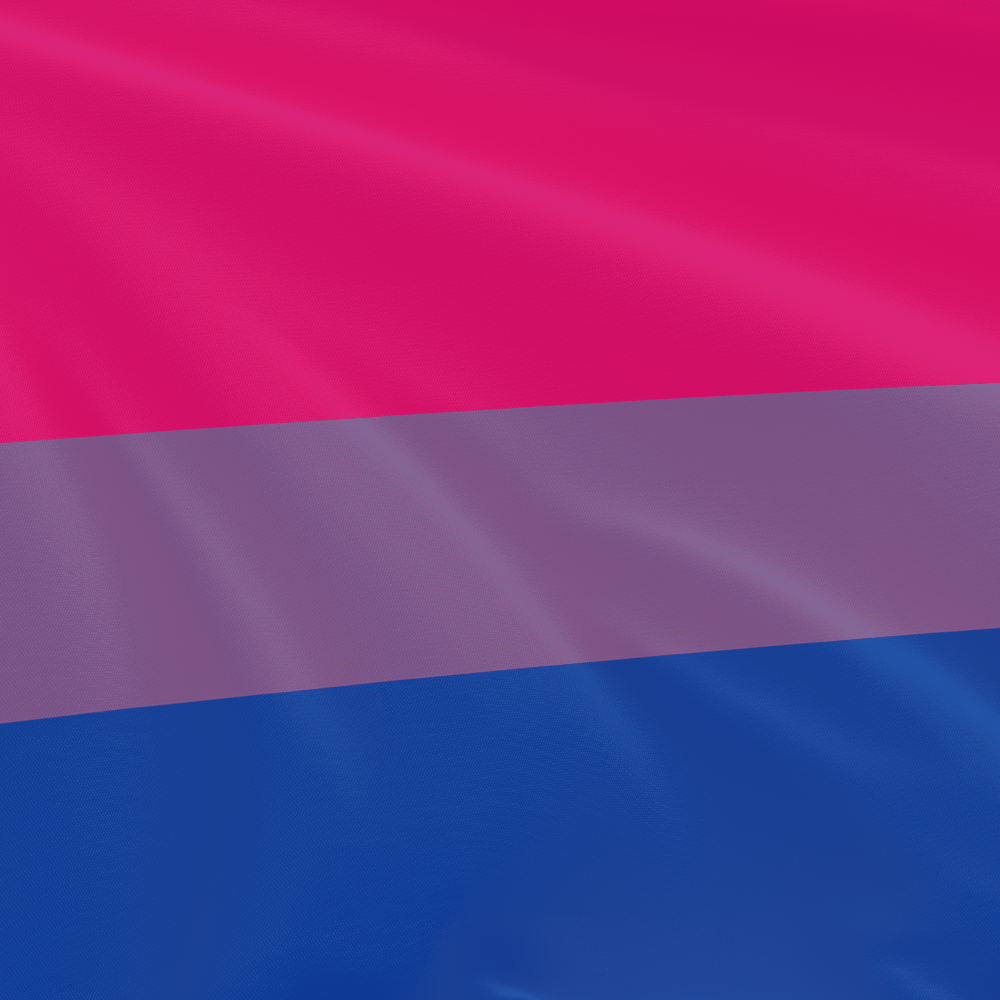 Bisexual Flag EqualiTee