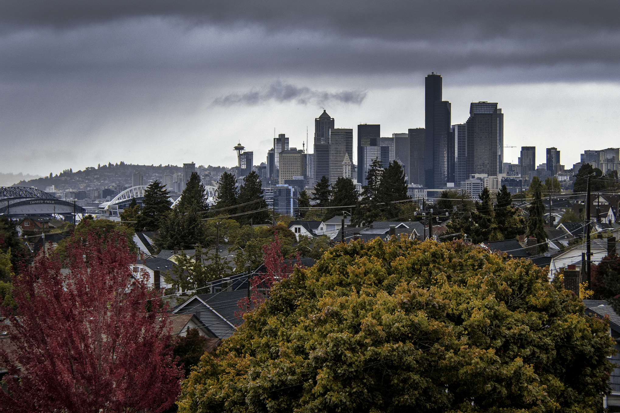 Fall Colors 2023 Seattle