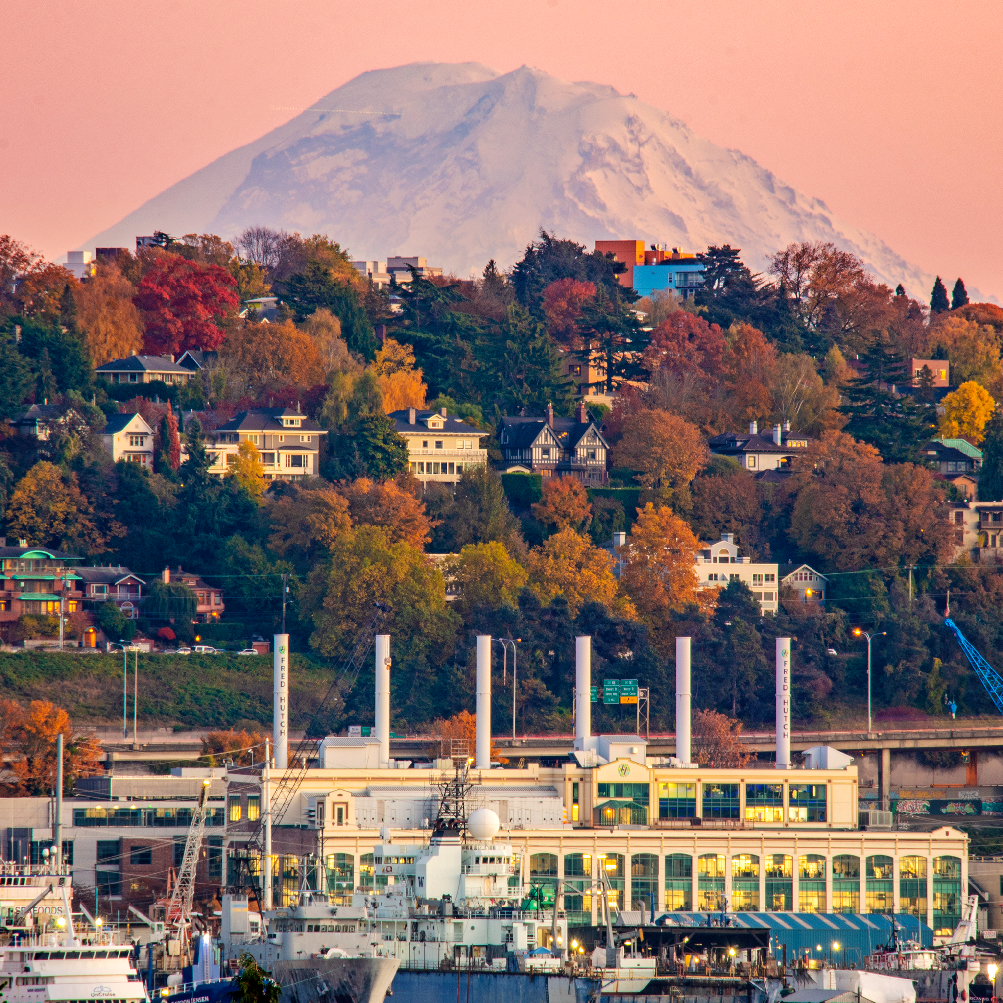Hunting For Fall Colors In Seattle Equal Motion