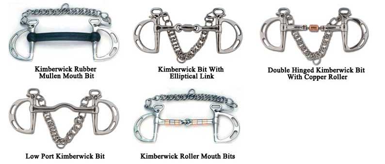 The Different Types of Horse bits that can be used