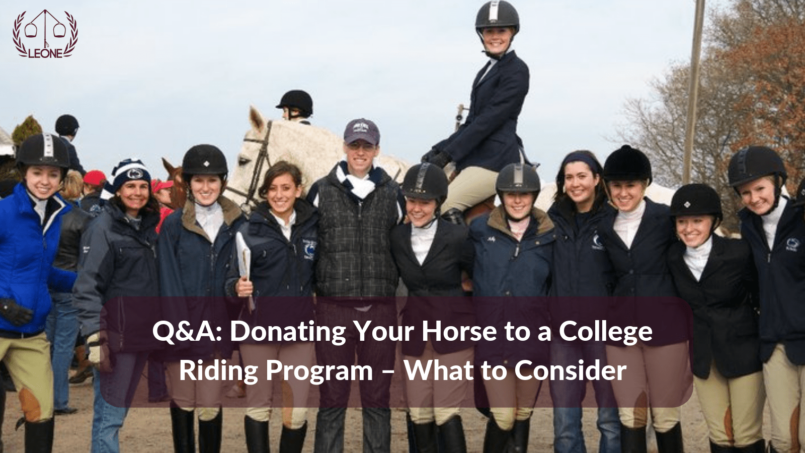 Q&A Donating Your Horse to a College Riding Program What to Consider