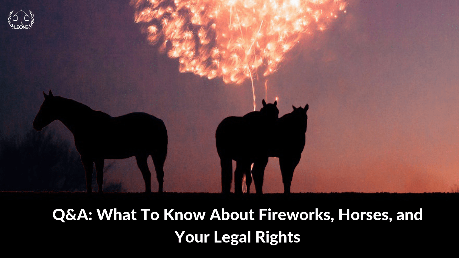 Q&A Fireworks and Horses Leone Equestrian Law