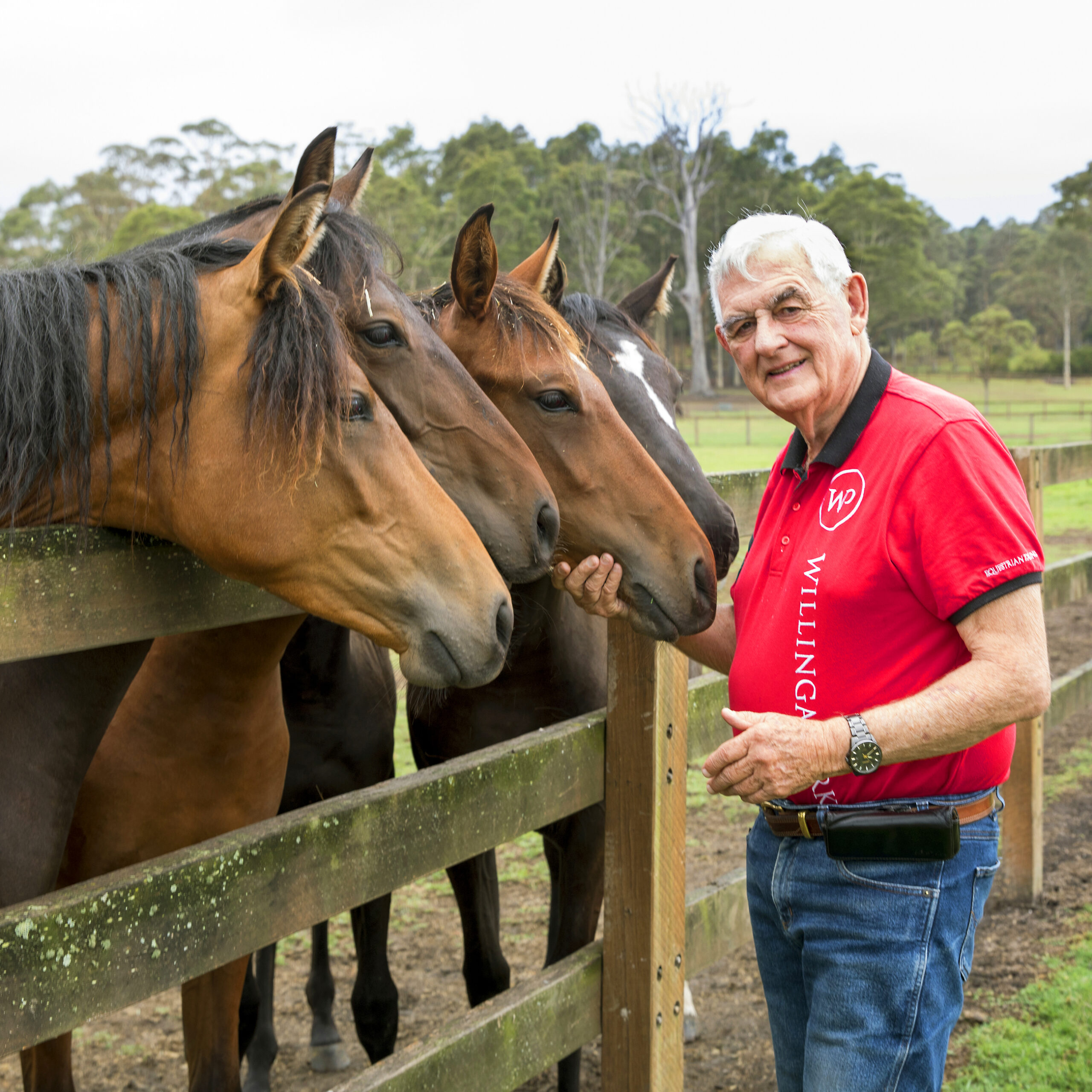 20 Questions with Terry Snow, Willinga Park Equestrian Hub