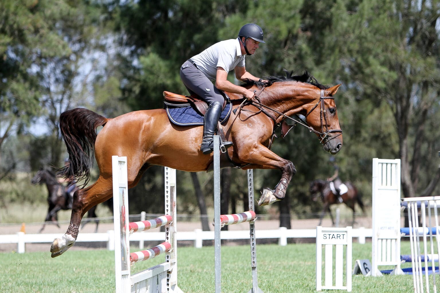 20 Questions with Robert Stewart Equestrian Hub