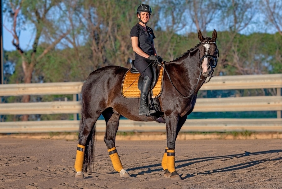 Saddle Review Prestige XHelen Equestrian Hub