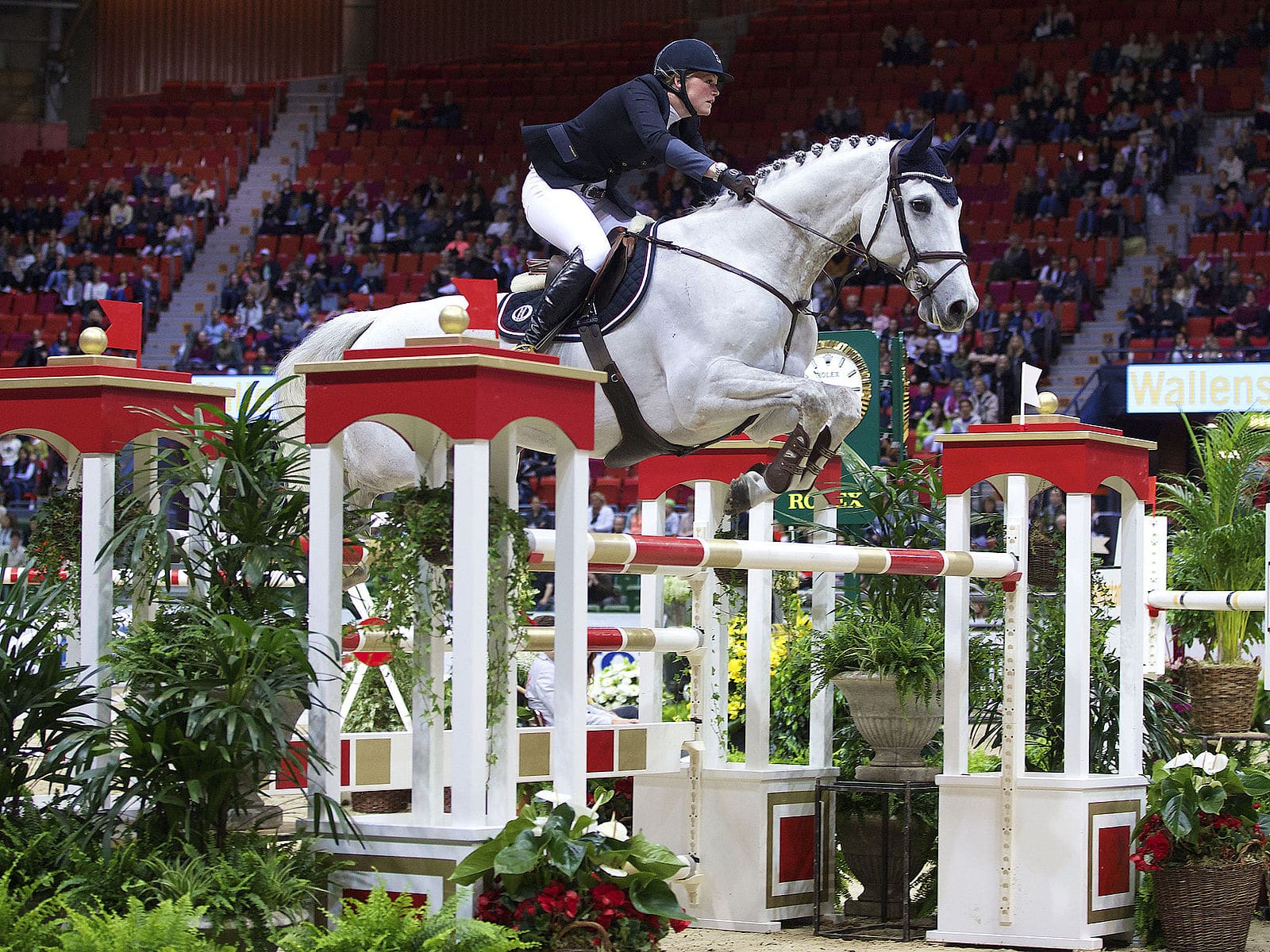 Obolensky and Comme Il Faut stuck in Ukraine Equestrian Hub