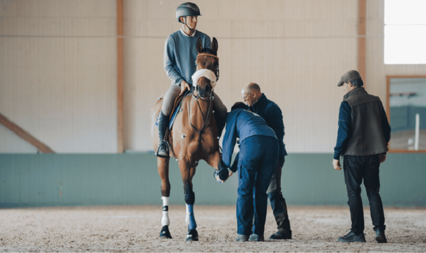 New Study to determine why Barefoot Horses are Sounder than Shod Horses