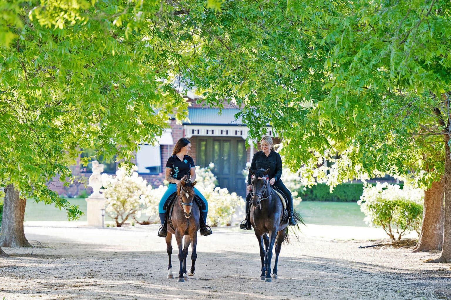Equestrian Property In the foothills of Victoria’s glorious Macedon