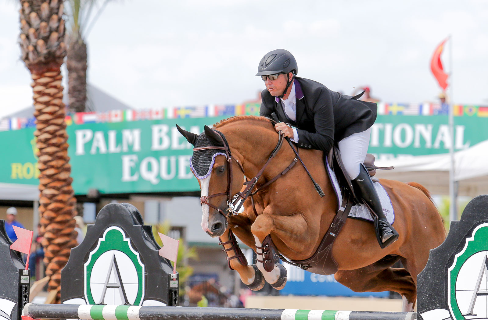 Equestrian Performance Hunter & Jumper Training Hunters Equitation