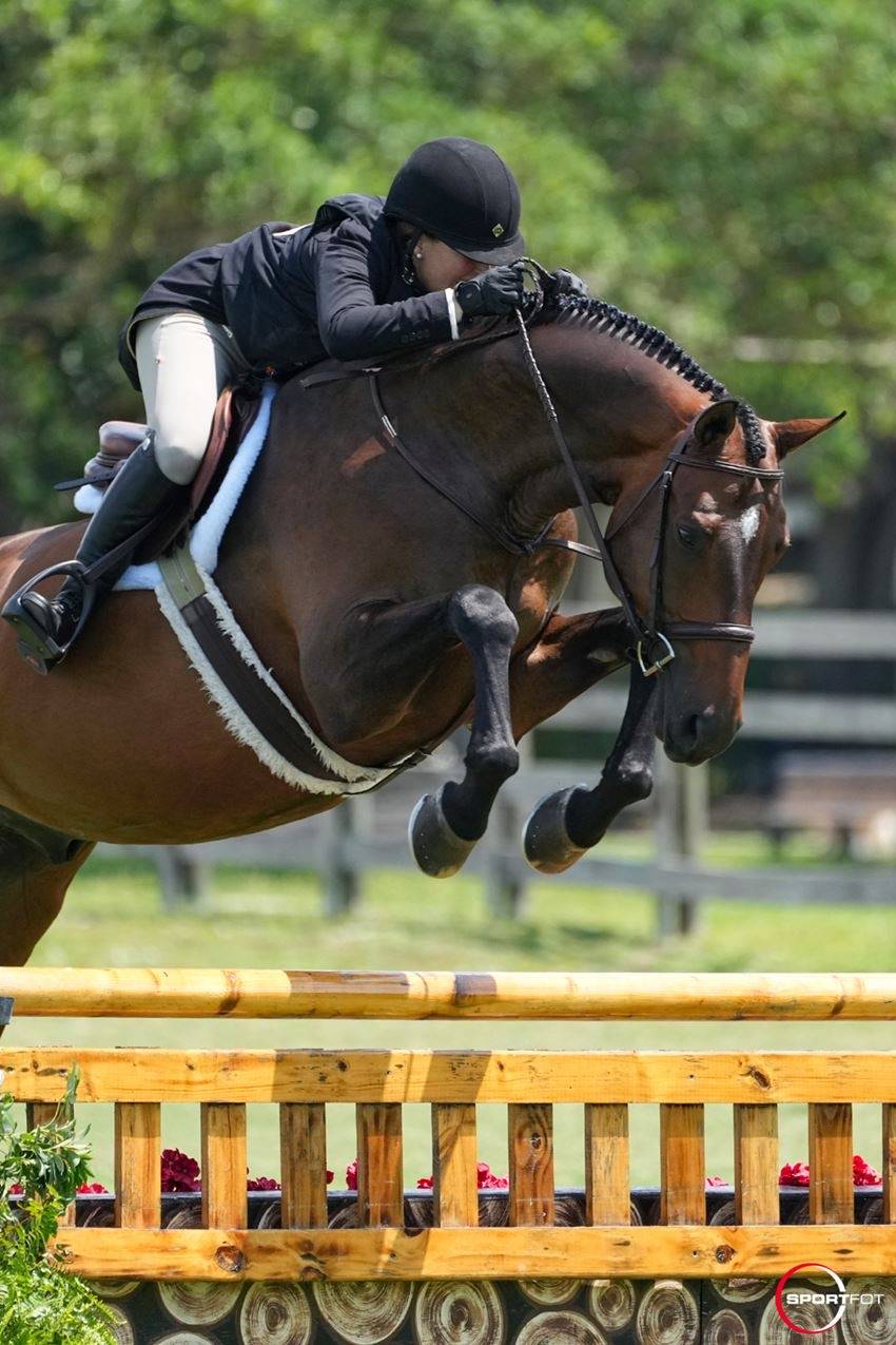 How Jennifer Bliss Trains and Develops Young Hunters The Equestrian