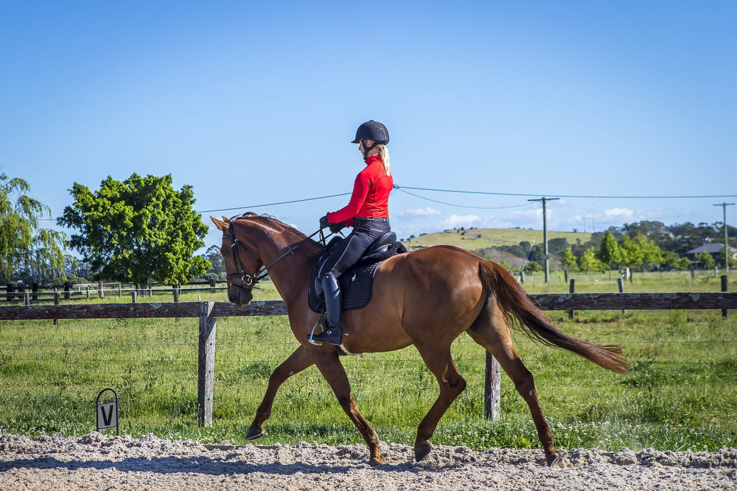 Equestrian Services Australia’s Premium Equestrian Arena Builder